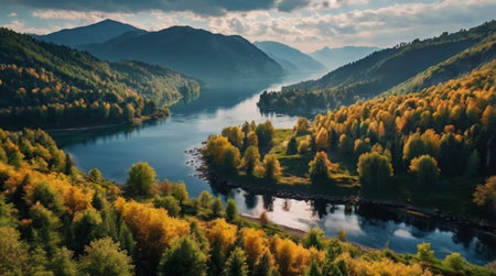 Aerial view of autumn forest and river. Beautiful nature landscape.の写真素材
