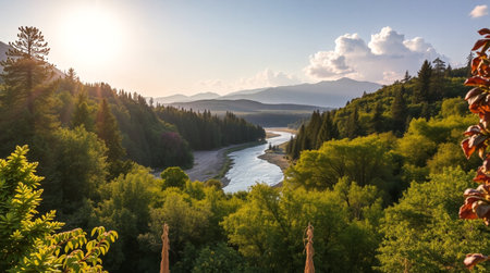 Panoramic view of the river and the forest at sunset.