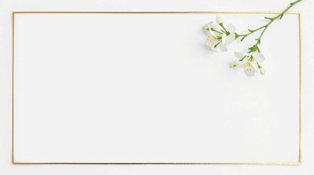 White jasmine flowers on a white background with gold frame.の写真素材