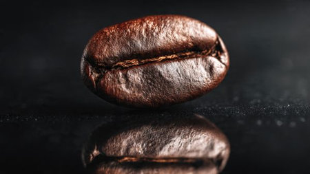 Coffee beans on a black background with reflection. Close-up.の写真素材