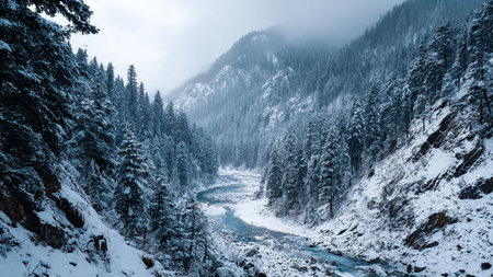 Beautiful winter landscape with a mountain river and snow-covered forestの写真素材