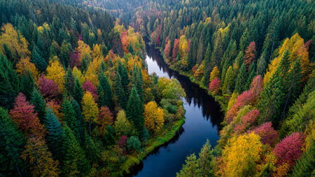 Aerial view of autumn forest and river. Colorful trees in fall season.の写真素材