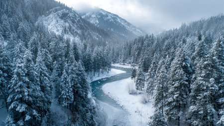 Aerial view of winter forest and river. Beautiful winter landscape.