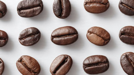 Coffee beans on a white background. Close-up.