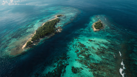 Aerial view of tropical island with coral reef and turquoise sea