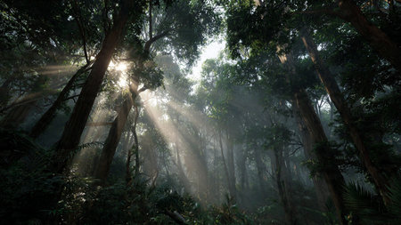 Morning in the tropical forest with sunbeams shining through the trees