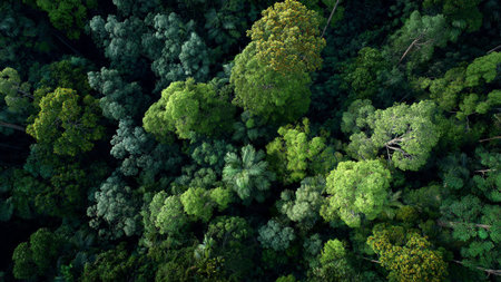 Deep green valley with waterfall in the center.