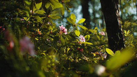 Perpaduan warna emerald, turquoise, dan cokelat bumi membentuk harmoni tropis.の写真素材