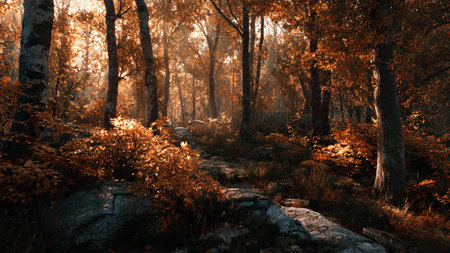 Forest with morning light rays creating magical atmosphere.の写真素材