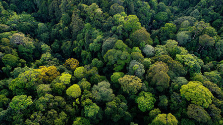 The composition is vertically divided into moss, waterfall, and jungle canopy sections.
