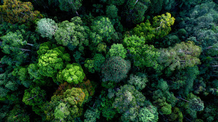 Mossy stones form the earthy base while the waterfall slices vertically upward with bright...