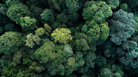 Jungle mist hovers between the water and leaves as the lower portion bursts with deep emerald moss...