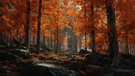 Beautiful autumn forest in the morning. Landscape with autumn treesの写真素材