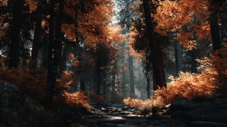 Beautiful autumn landscape with a path in the forest. Panorama