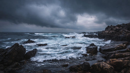 Field of flowers blooming under warm sun.の写真素材