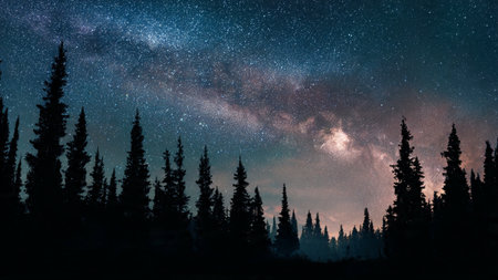 Milky Way over the mountains and coniferous forest at nightの写真素材