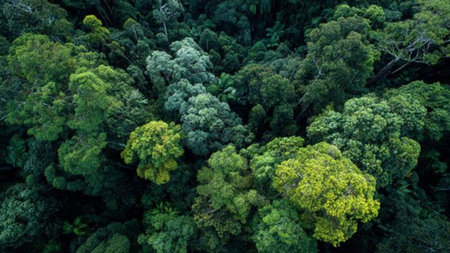 Mist spirals into the air, fading into treetop foliage rendered with expressive paint textures.