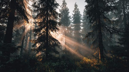 Soft sunlight touching the tops of snowy hills.