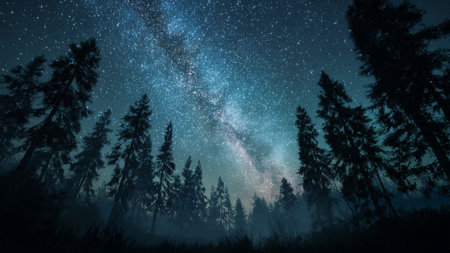 A grassy meadow glowing gold beneath the warm afternoon light.の写真素材