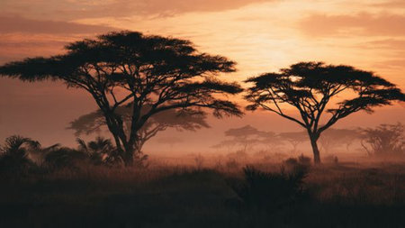 A calm ocean horizon blending into a pastel sky.の写真素材