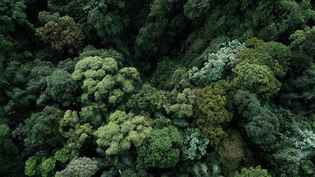 A valley filled with vibrant autumn colors.の写真素材