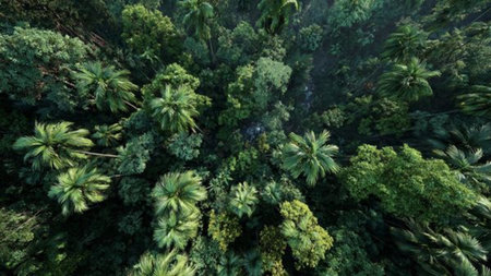 A quiet river valley wrapped in early morning mist.の写真素材