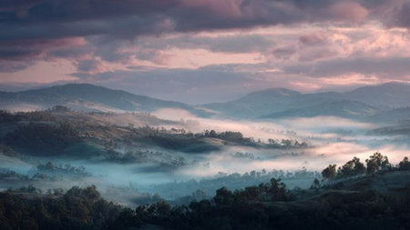 Mossy boulders glisten at the bottom, a powerful waterfall occupies the middle, and layered tropical leaves crown the composition.の写真素材