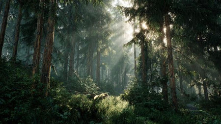 The canopy feels alive with shifting greens illuminated by glimpses of blue sky.