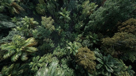 A canopy of tightly packed leaves crowns the painting, contrasting the smooth turquoise gradient of...