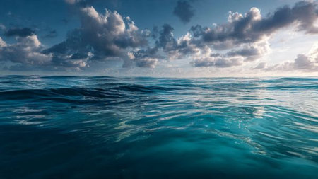 The canopy feels weightless as mist swirls toward patches of sunlight.の写真素材