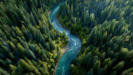 The canopy layers form a gradient of green shades, highlighted by speckles of sky blue.