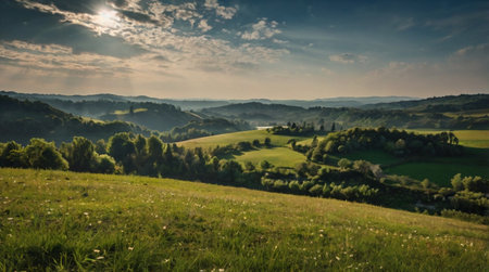 Leaves catch glimmers of sunlight high in the canopy.の写真素材