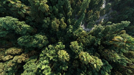 Earthy brown rocks hide beneath lush moss, while the waterfall