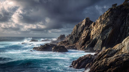 The upper canopy appears thick and lush with tropical foliage.の写真素材