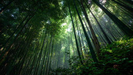 Heavy vibrant color splashes depict moss, water, and canopy in a striking vertical rainforest arrangement.の写真素材