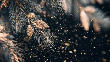 The vibrant canopy arcs overhead, its swirling greens contrasting the clean vertical movement of the waterfall.の写真素材