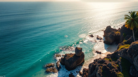 Aerial view of beautiful beach with cliffs and palm trees at sunset