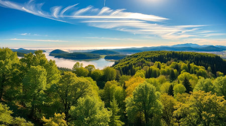 Aerial view of forest and lake in sunny day. Nature composition.の写真素材