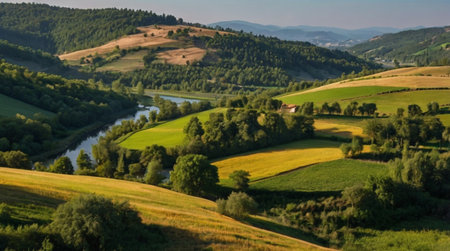 A tropical paradise displaying bright blue waters and lush palm trees along a clean sandy coast.の写真素材