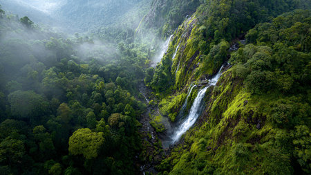 A lush valley alive with vibrant plants and soft morning mist.