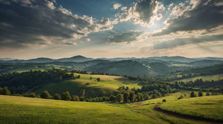 Panoramic view of the beautiful landscape of the Carpathian mountainsの写真素材