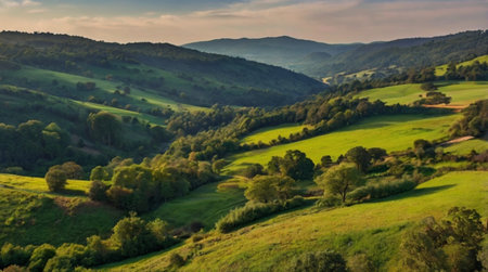 Beautiful summer landscape in the Carpathian Mountains, Ukraine.の写真素材