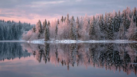 Peaceful snowy trail with footprints leading into a misty woodland.の写真素材