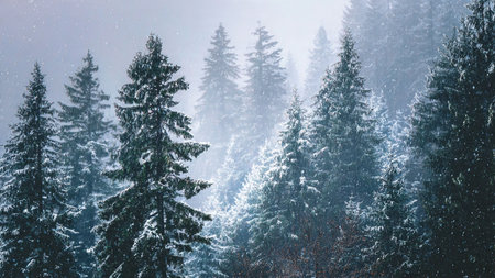 Winter mountain view with crystal-clear icy textures everywhere.の写真素材