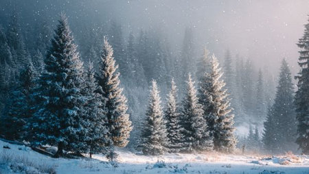 Snow-covered tree-lined road winding across the countryside.の写真素材