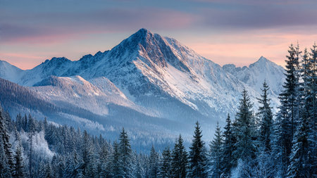 Soft mist and gentle pastels hover above crisp peaks.の写真素材