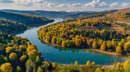 Aerial view of autumn forest and lake. Beautiful nature background.