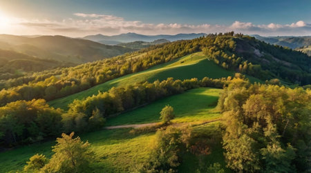Aerial view of a green meadow in the mountains at sunset