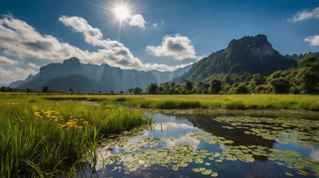 Vibrant autumn forest with rich red and orange leaves.の写真素材