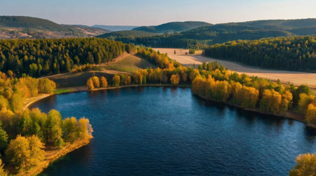 Sunrise over a tranquil rice field with morning mist.の写真素材